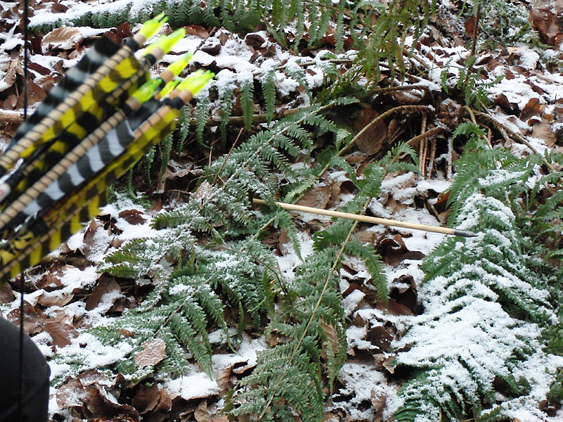 Stilleben im Schnee